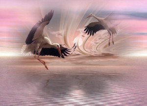 Безусловная любовь