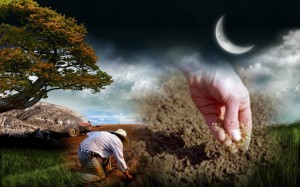 посевной календарь3